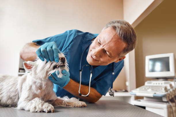 Best Emergency Treatment for Toothache in Atlantic Beach, NC
